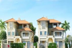 Vinaconex trở thành Trang Chủ KL99Com Số 1 Link Đăng Ký KL999 lớn của VIPACO